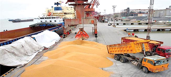 انحصار و رانت؛ سد اصلی تأمین پایدار نهاده‌های دامی