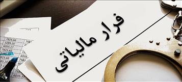 شناسایی ۶هزار فراری مالیاتی دانه درشت/ ۳۸پرونده پولشویی تشکیل شد
